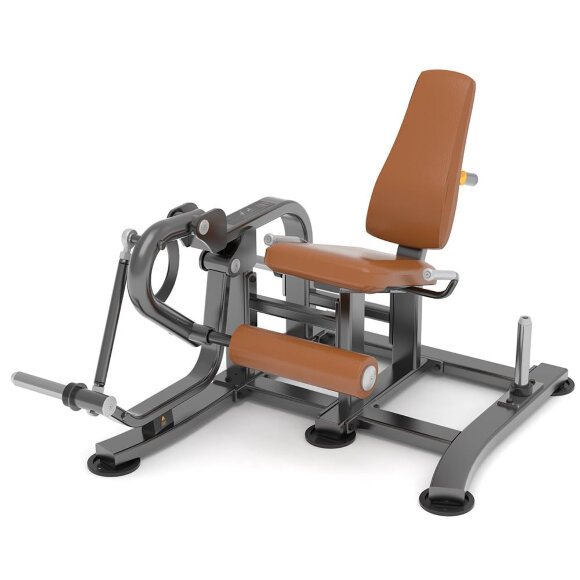 Разгибание ног AnyFit T05
